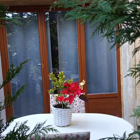 Fully Equipped Studio Saint-Germain-de-Joux Exterior photo